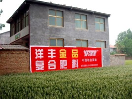  新安如何让墙体广告展现最大化效果