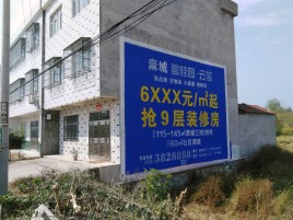  新安墙体广告质量分析