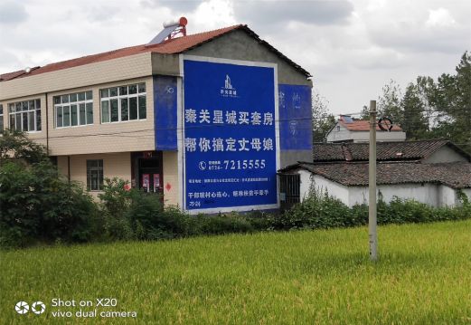 新安决定墙体广告价格的因素有哪些?
