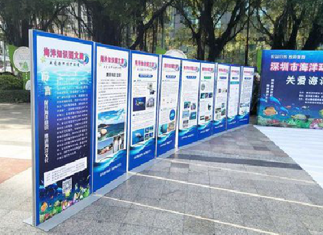  新安KT板的种类和知识。